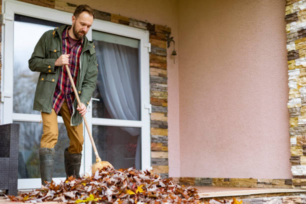 Best Affordable Junk Removal Services  in Hohenwald, TN
